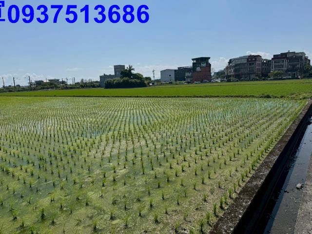 宜蘭宜蘭市工業建地-6