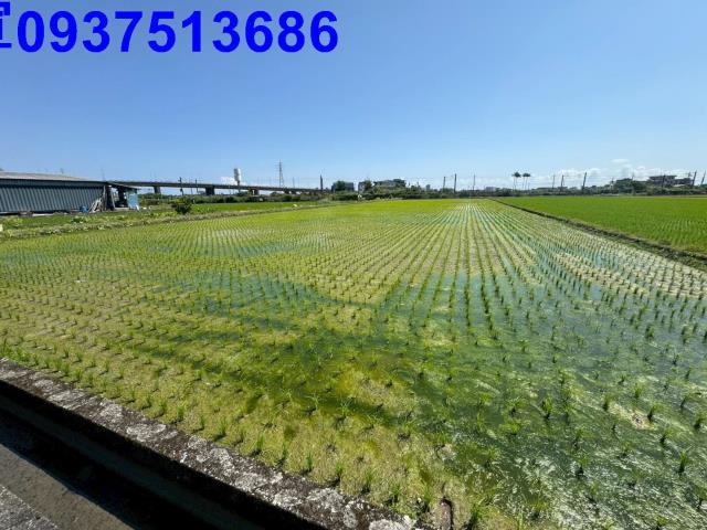 宜蘭宜蘭市工業建地-7