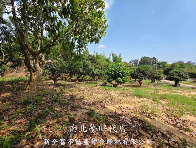台南農地-13