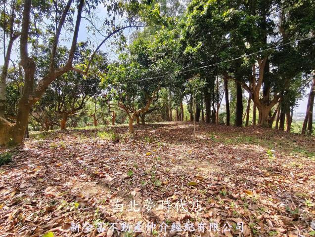 台南農地-14