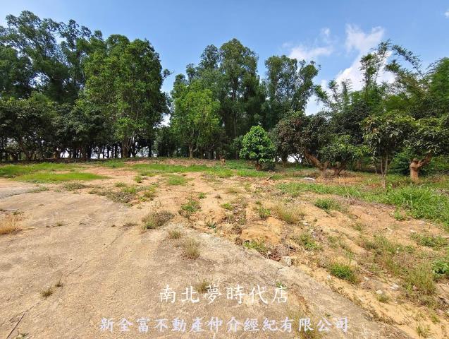 台南農地-5