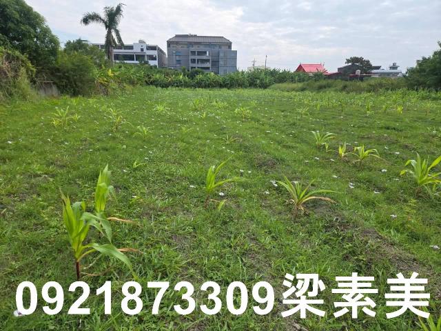 台南永康農地-11