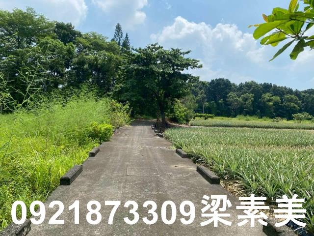 台南關廟農地-8