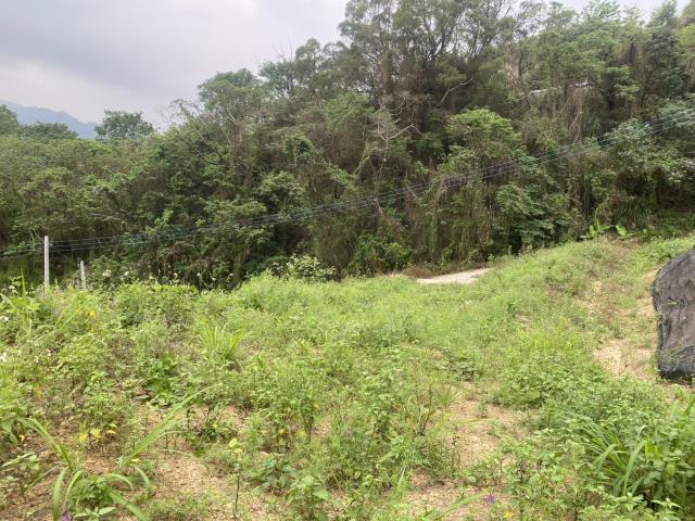 台中東勢農地-5