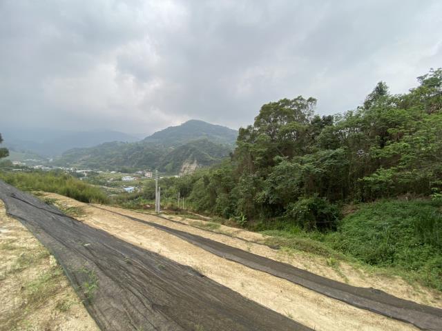 台中東勢農地-2