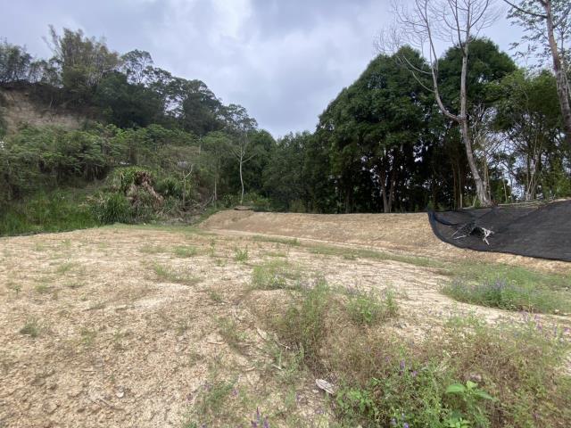 台中東勢農地-7