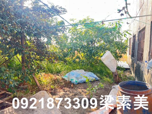 台南仁德農地-11