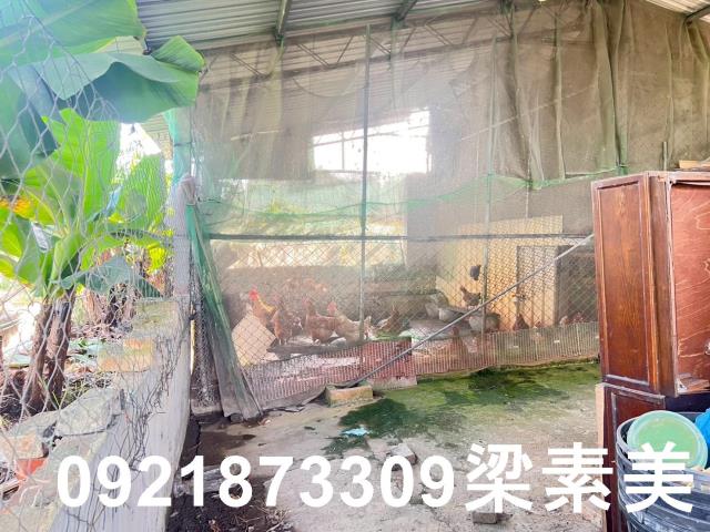 台南仁德農地-9