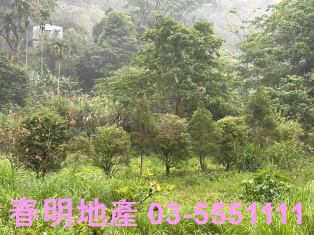 新竹北埔農地-2