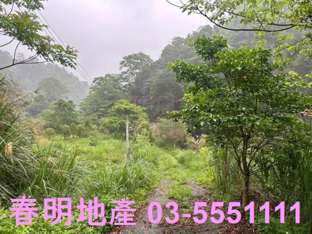 新竹北埔農地-3