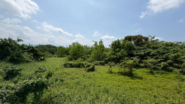芎林建地-10