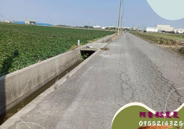 雲林水林農地-2