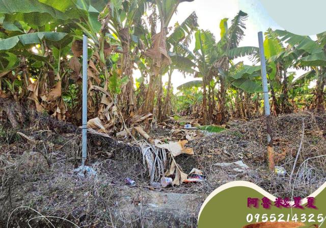 嘉義水上農地-2