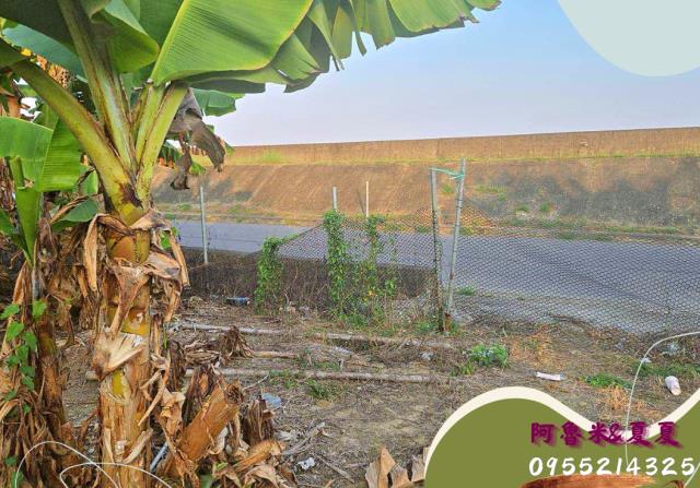 嘉義水上農地-7