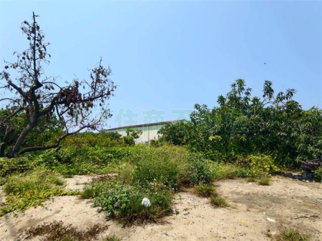 高雄湖內農地-1