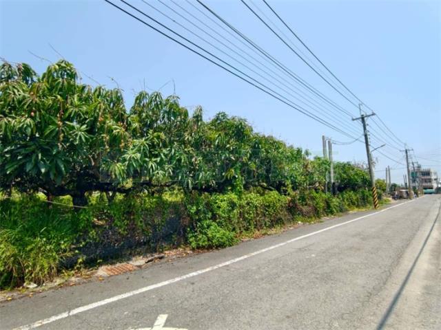 高雄湖內農地-8