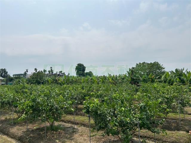 屏東九如農地-4