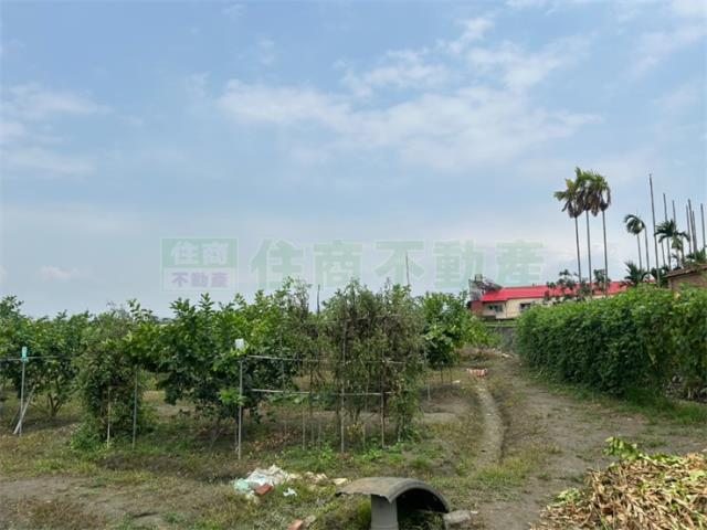 屏東九如農地-7