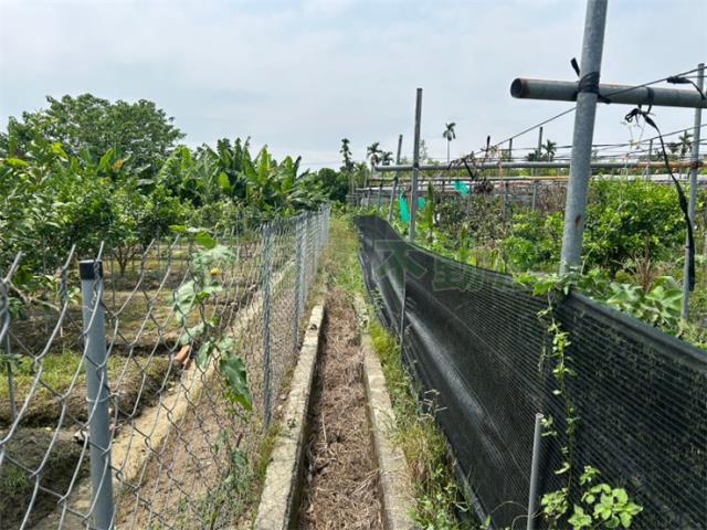 屏東九如農地-8