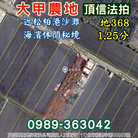 大甲農地法拍-4