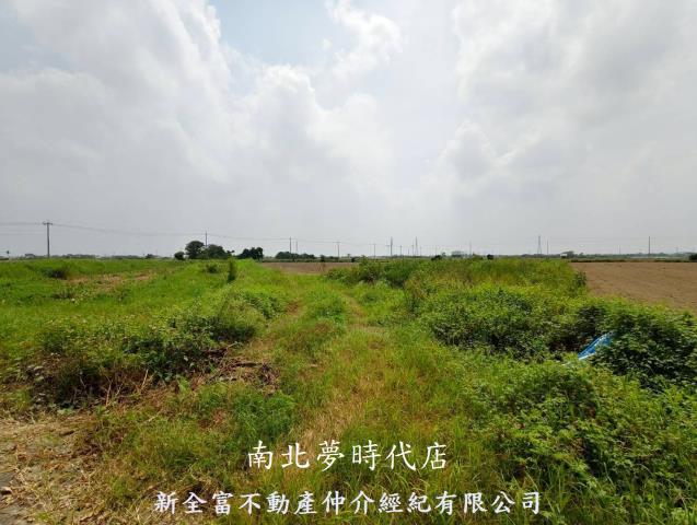 鹽水農地-1