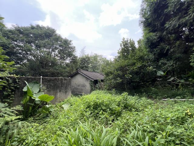台中休閒地-1