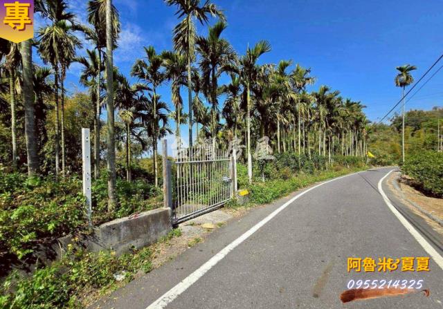 嘉義梅山農地-5