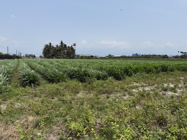 屏東屏東市農地-1