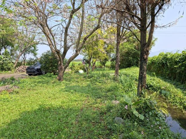 高雄美濃農地-14