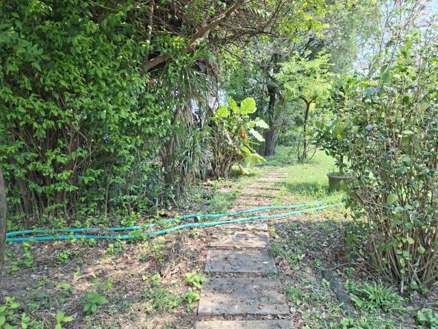 高雄美濃農地-4