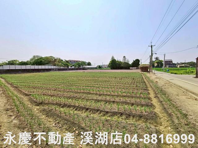 埔鹽農地-4