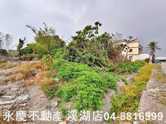 埔鹽建地-6