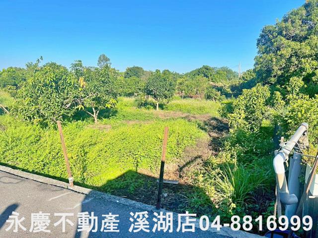 社頭農地-9