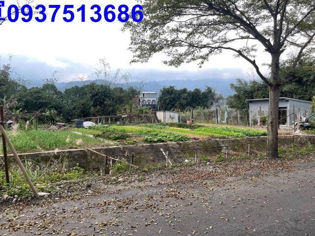 頭城農地-5