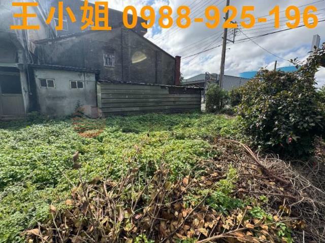 蘆竹建地-5