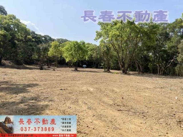 苗栗市農地-1