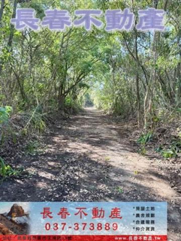 苗栗市農地-4