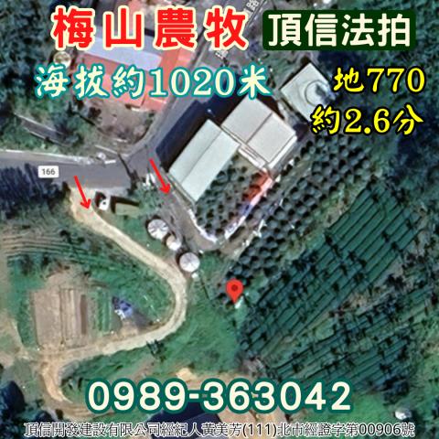嘉義梅山農地拍賣-3