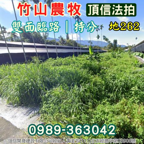 竹山法拍農地-2