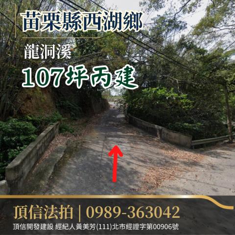 西湖法拍建地-1