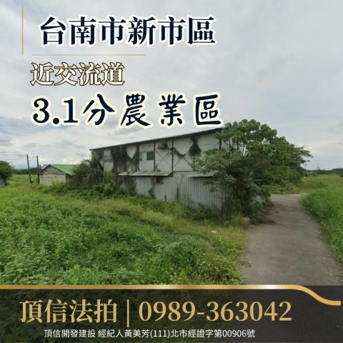 台南新市拍賣農地-1
