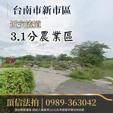 台南新市拍賣農地-2