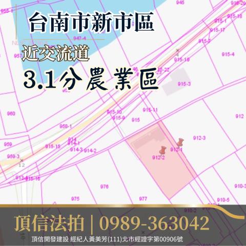台南新市拍賣農地-4