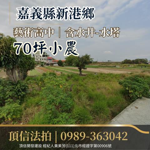 嘉義新港法拍農地-2