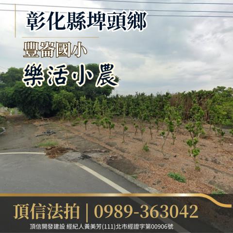 埤頭法拍農地-2