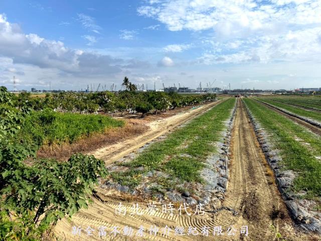 台南新市農地-10