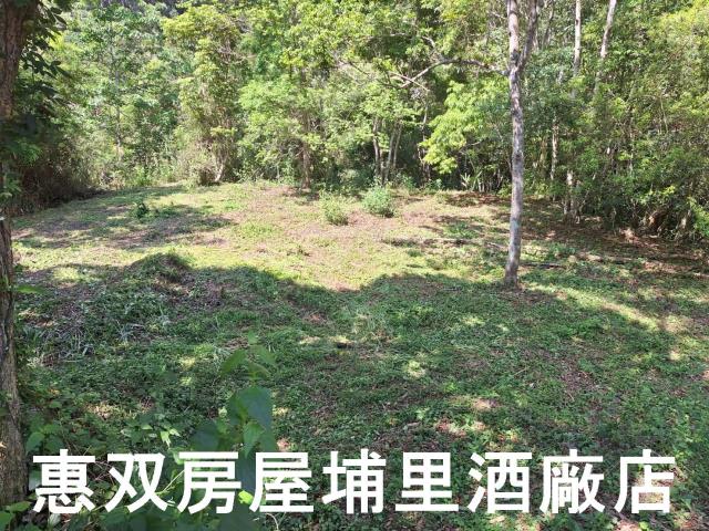 南投埔里農地-6