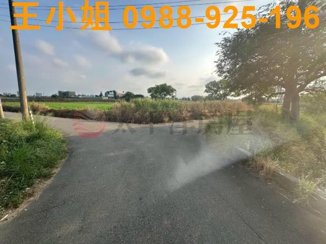 大園農地-9