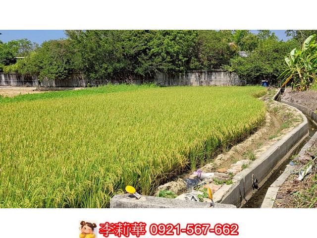 台南農地-10
