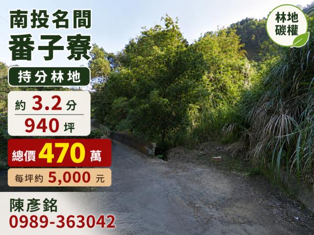 南投名間山坡地-1